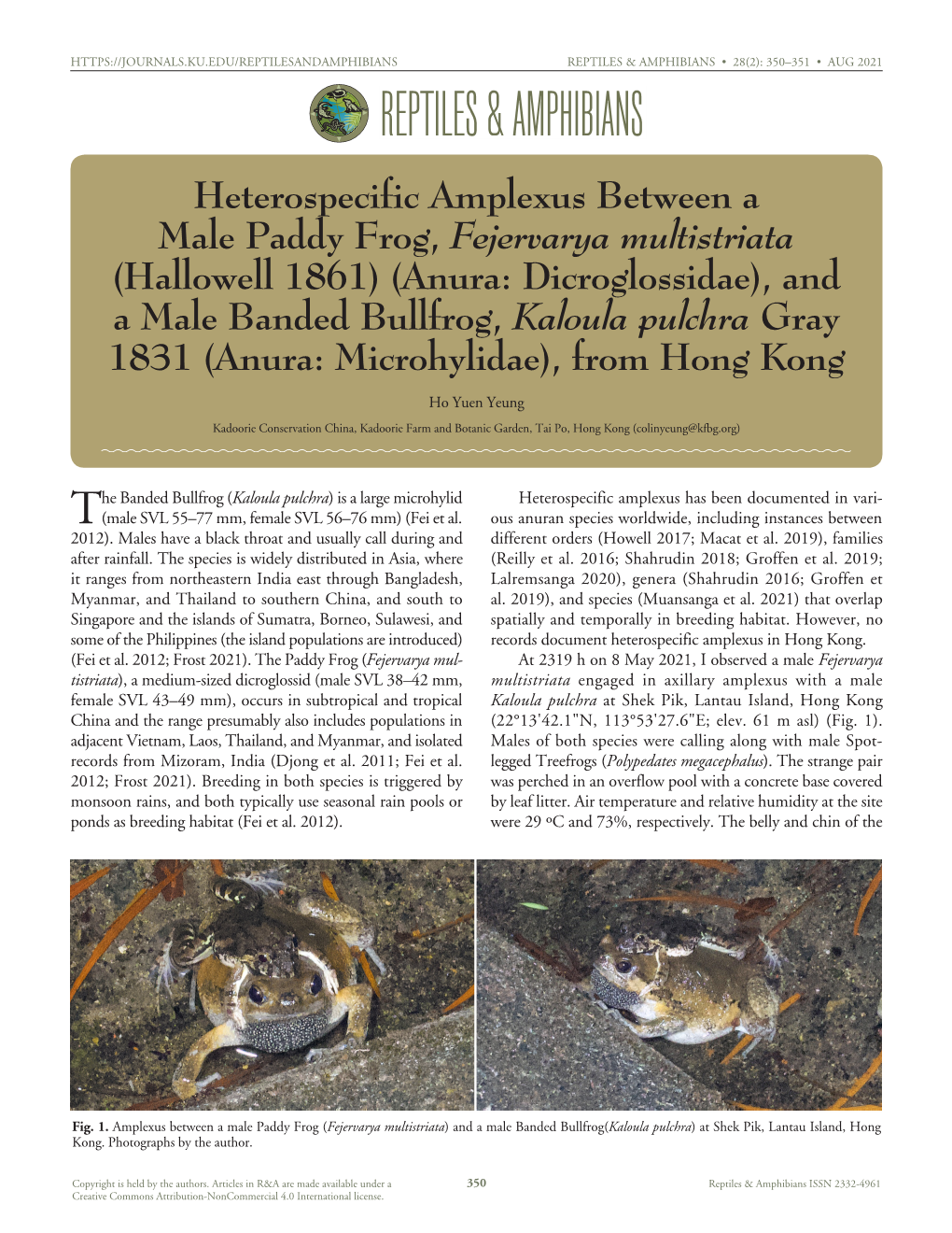 Cfreptiles & Amphibians