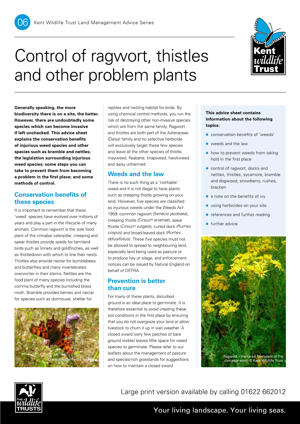 Control of Ragwort, Thistles and Other Problem Plants