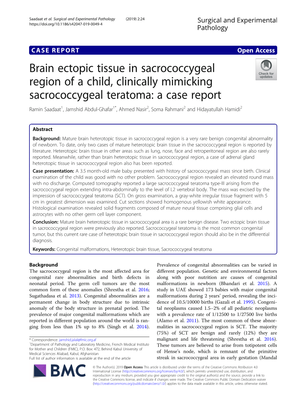 View Showed Solid Tissue Fragments Composed of Mature Neural Tissue Comprising Glial Cells and Astrocytes with No Other Germ Cell Layer Component