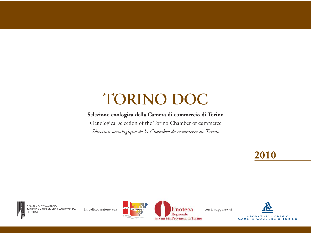 Torino DOC 2010