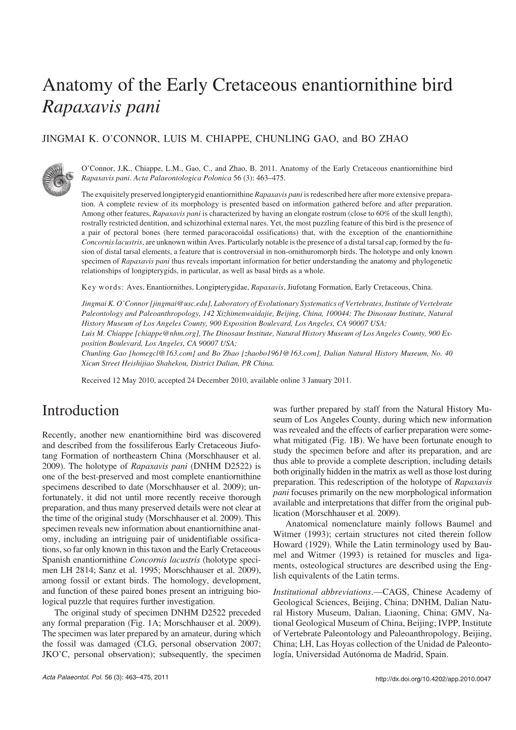 Anatomy of the Early Cretaceous Enantiornithine Bird Rapaxavis Pani