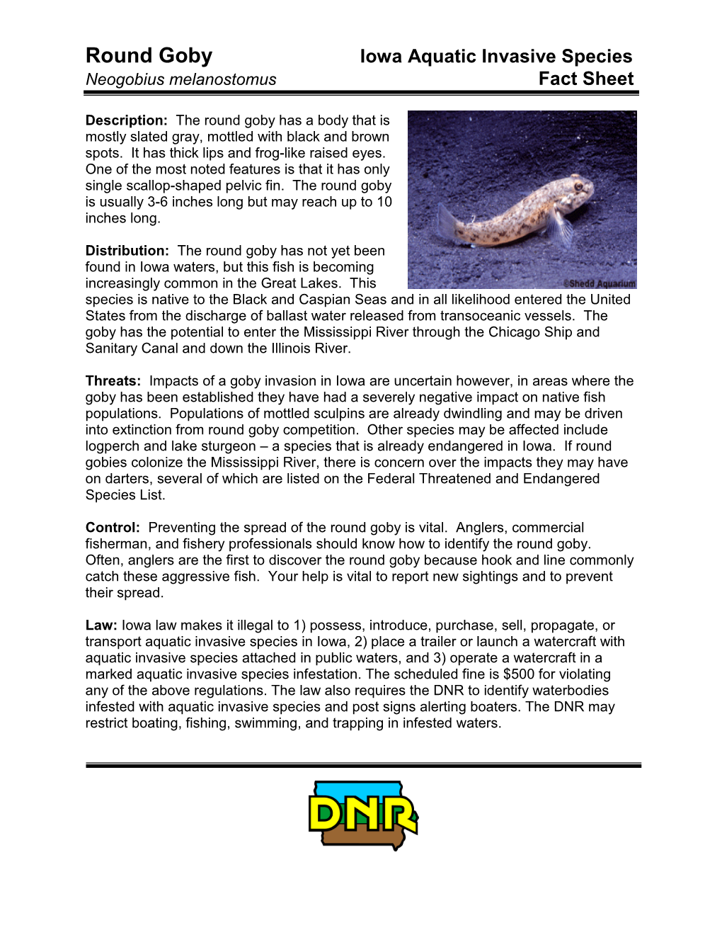 Round Goby Fact Sheet