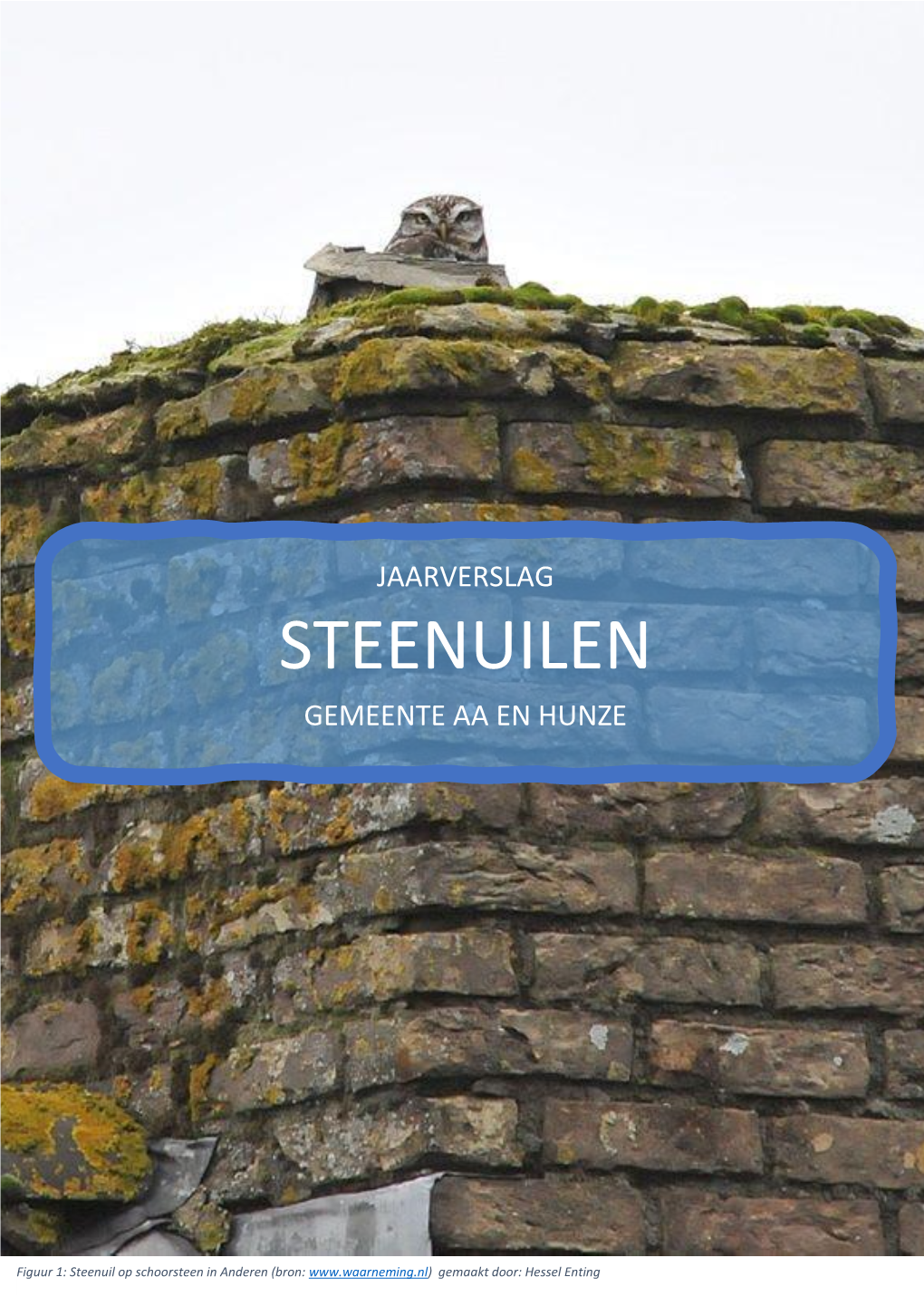 STONE Steenuilen