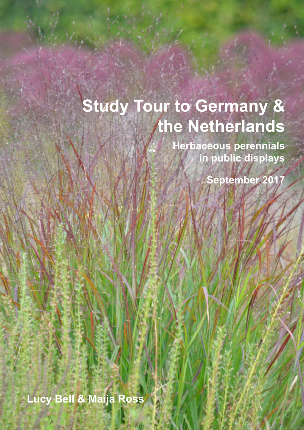 Study Tour to Germany & the Netherlands