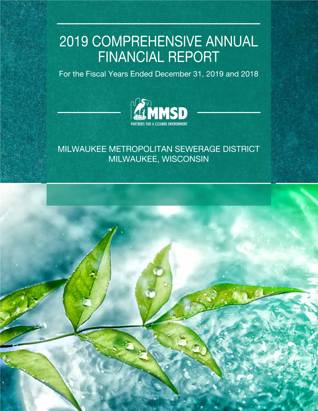 2019 COMPREHENSIVE ANNUAL FINANCIAL REPORT for the Fiscal Years Ended December 31, 2019 and 2018