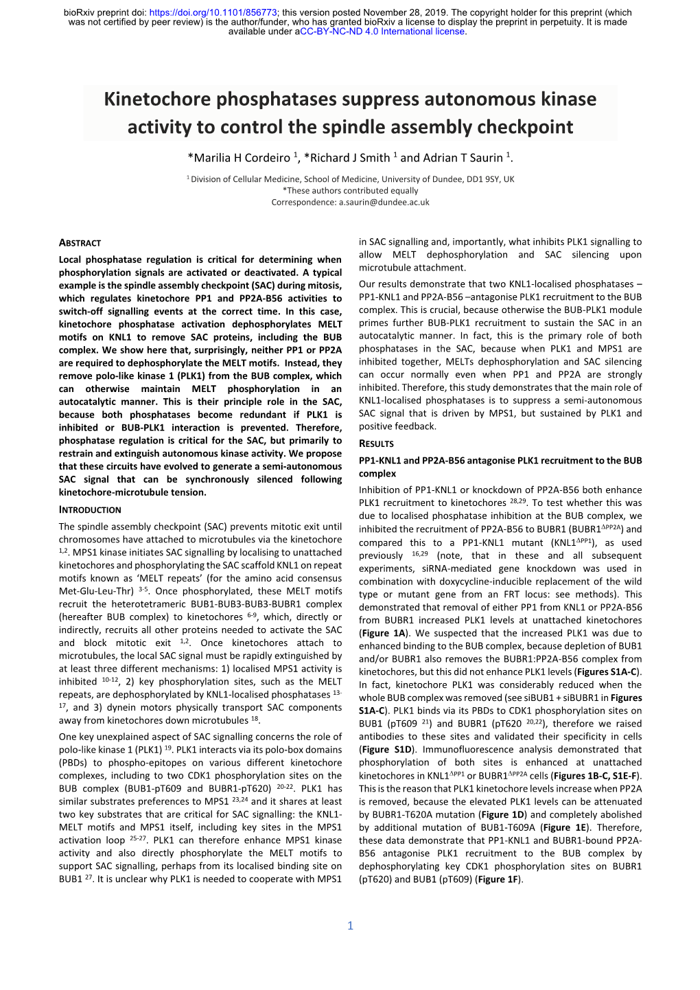 Kinetochore Phosphatases Suppress Autonomous Kinase Activity to Control the Spindle Assembly Checkpoint