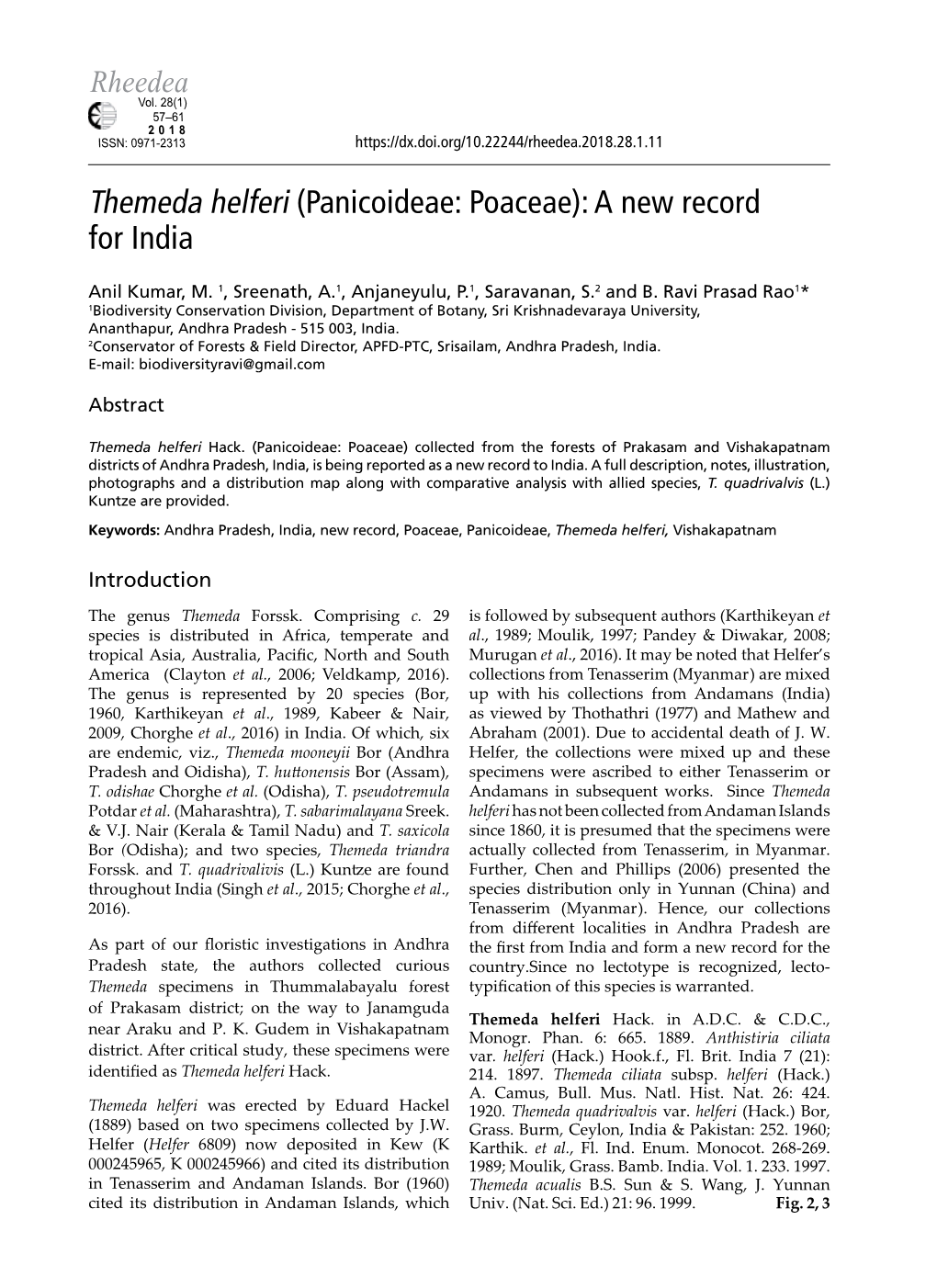 Themeda Helferi (Panicoideae: Poaceae): a New Record for India