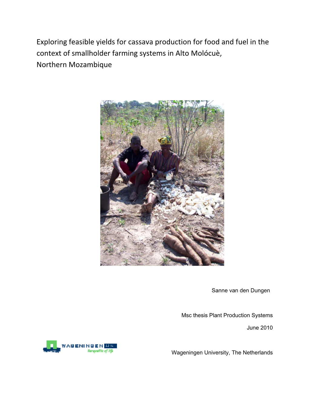 Exploring Feasible Yields for Cassava Production for Food and Fuel in the Context of Smallholder Farming Systems in Alto Molócuè, Northern Mozambique