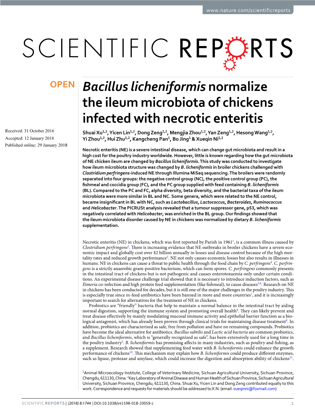 Bacillus Licheniformis Normalize the Ileum Microbiota of Chickens