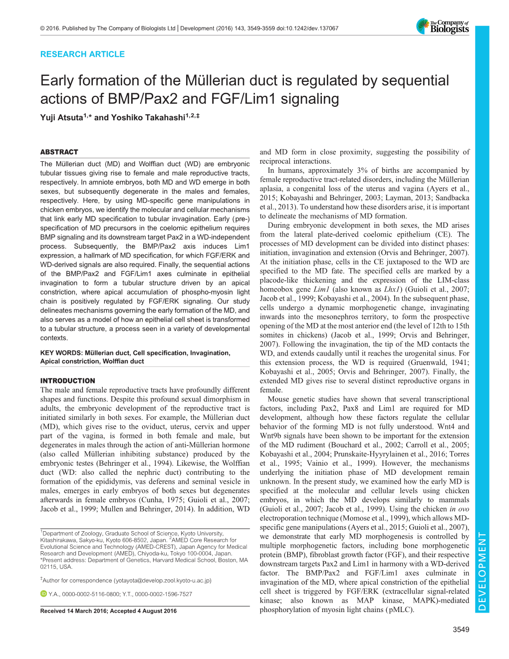 Early Formation of the Müllerian Duct Is Regulated by Sequential Actions Of