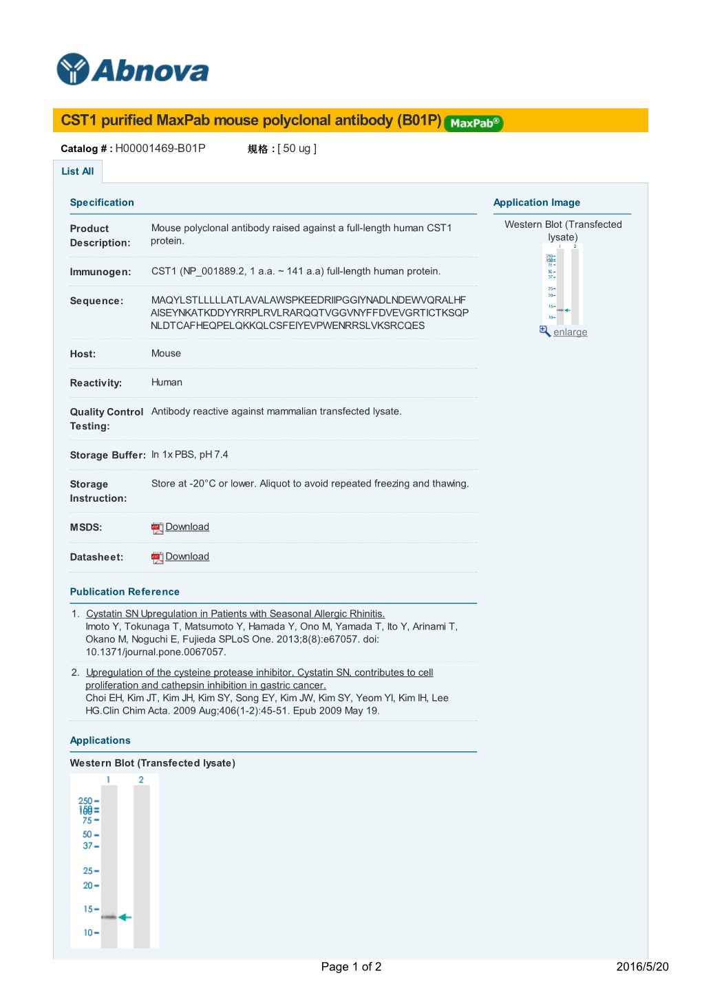 CST1 Purified Maxpab Mouse Polyclonal Antibody (B01P)