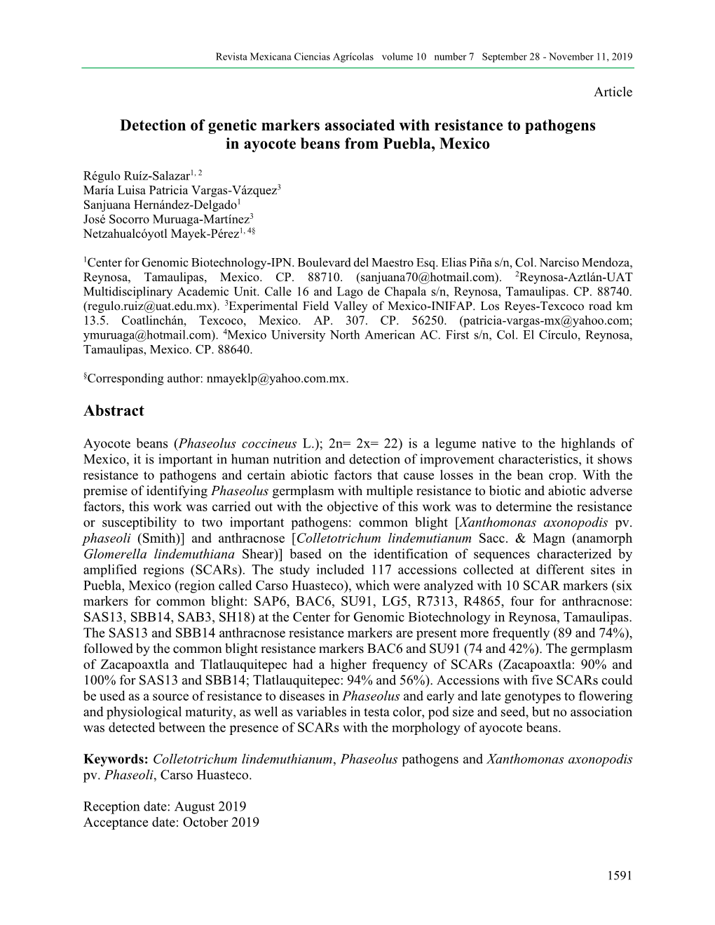 Detection of Genetic Markers Associated with Resistance to Pathogens in Ayocote Beans from Puebla, Mexico