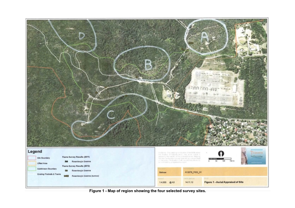 Flora and Fauna Assessment