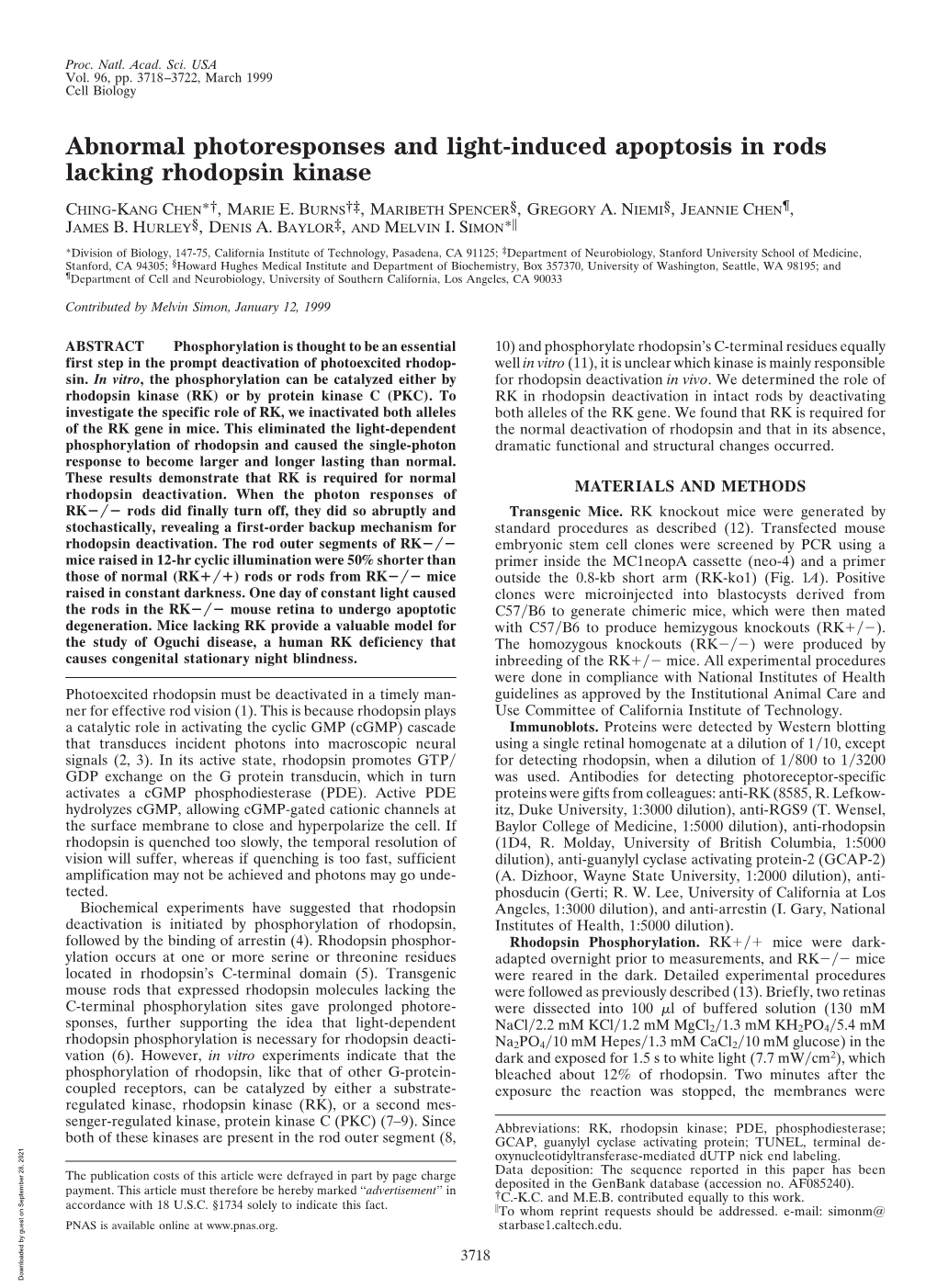 Abnormal Photoresponses and Light-Induced Apoptosis in Rods Lacking Rhodopsin Kinase