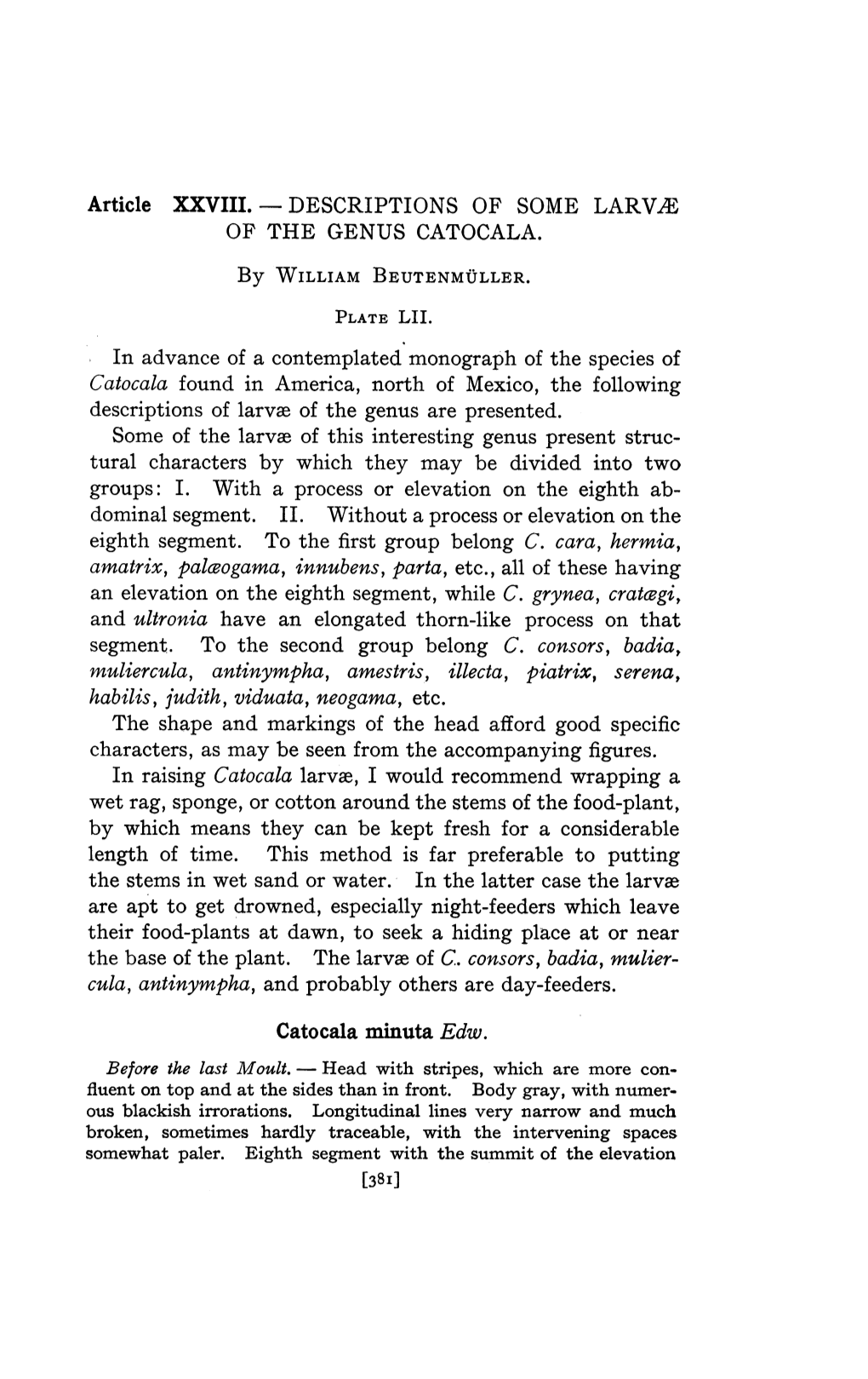 Are Apt to Get Drowned, Especially Night-Feeders Which Leave Their Food-Plants at Dawn, to Seek a Hiding Place at Or Near the Base of the Plant