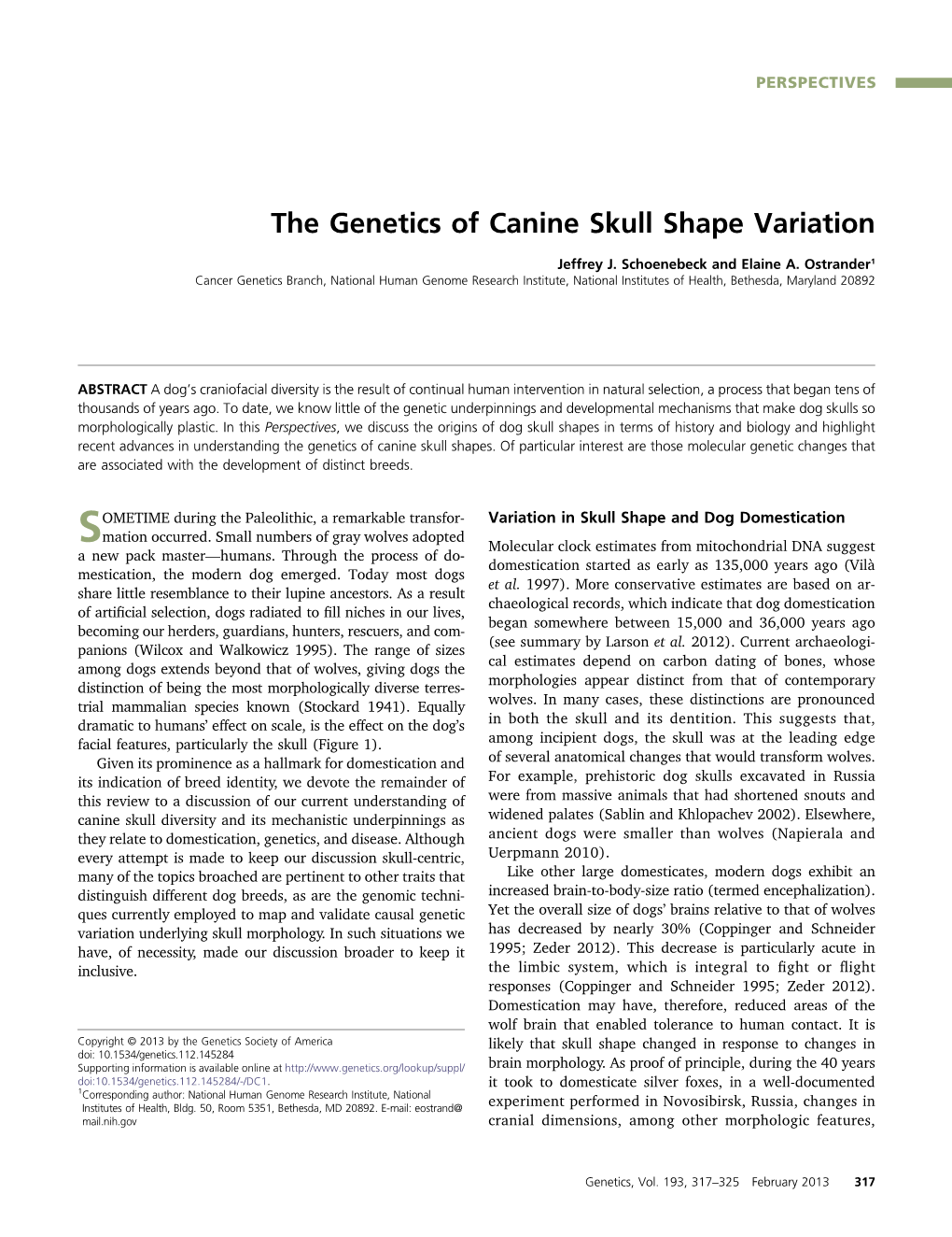 The Genetics of Canine Skull Shape Variation