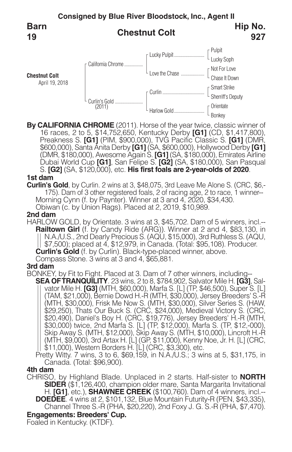 Chestnut Colt Barn 19 Hip No