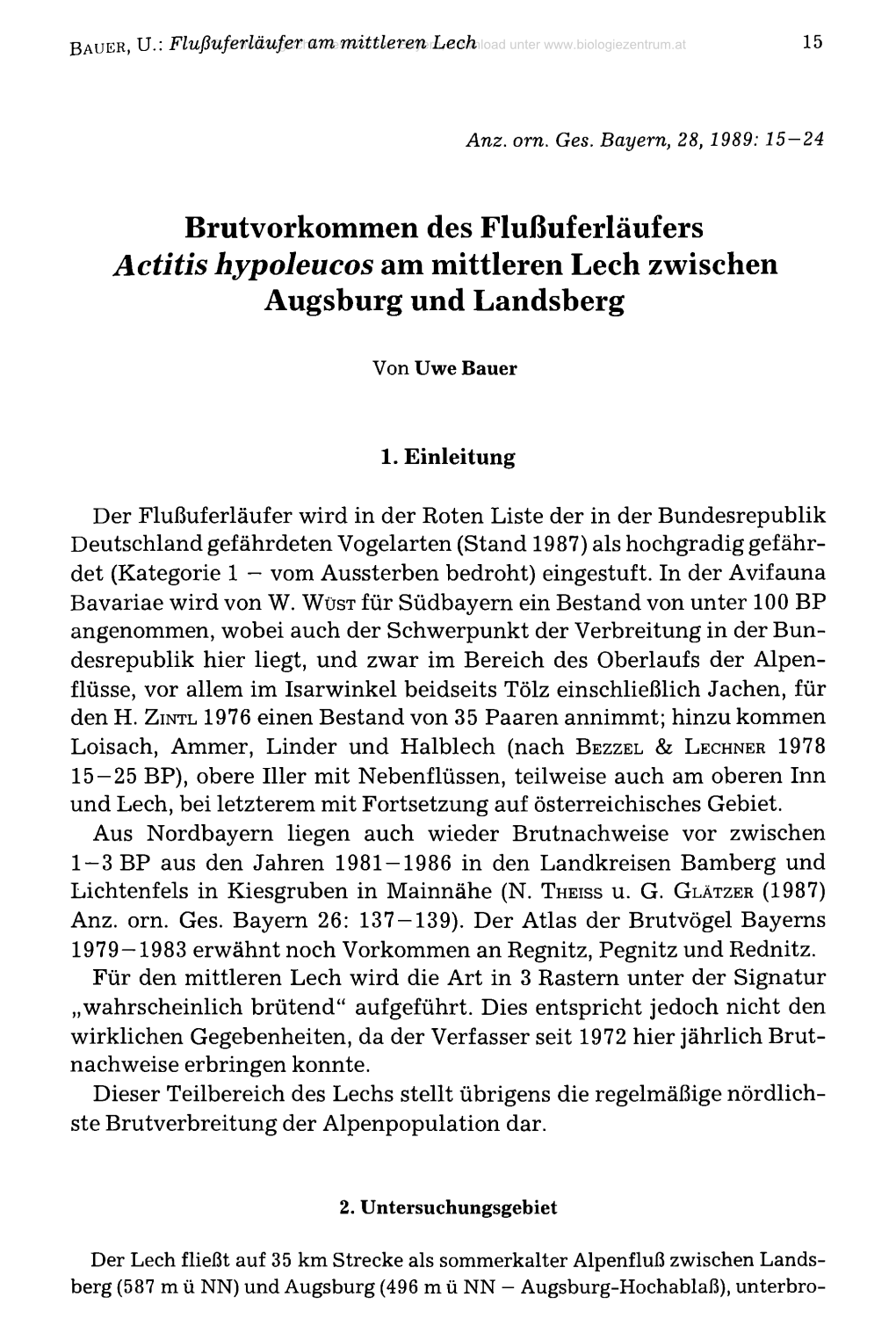 Brutvorkommen Des Flußuferläufers Actitis Hypoleucos Am Mittleren Lech Zwischen Augsburg Und Landsberg