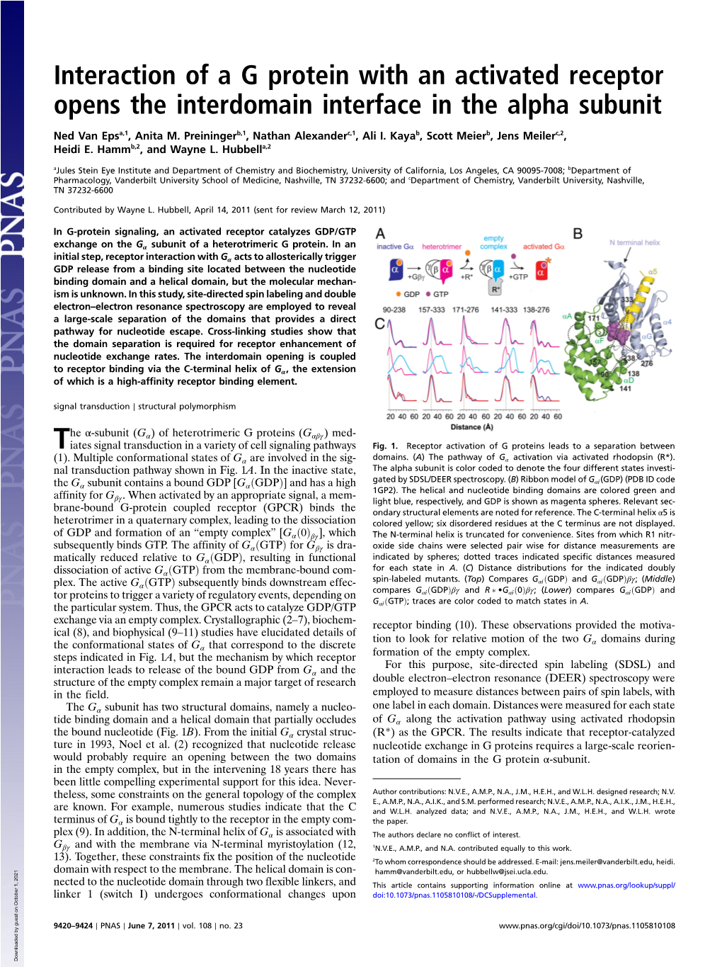 Interaction of a G Protein with an Activated Receptor Opens the Interdomain Interface in the Alpha Subunit