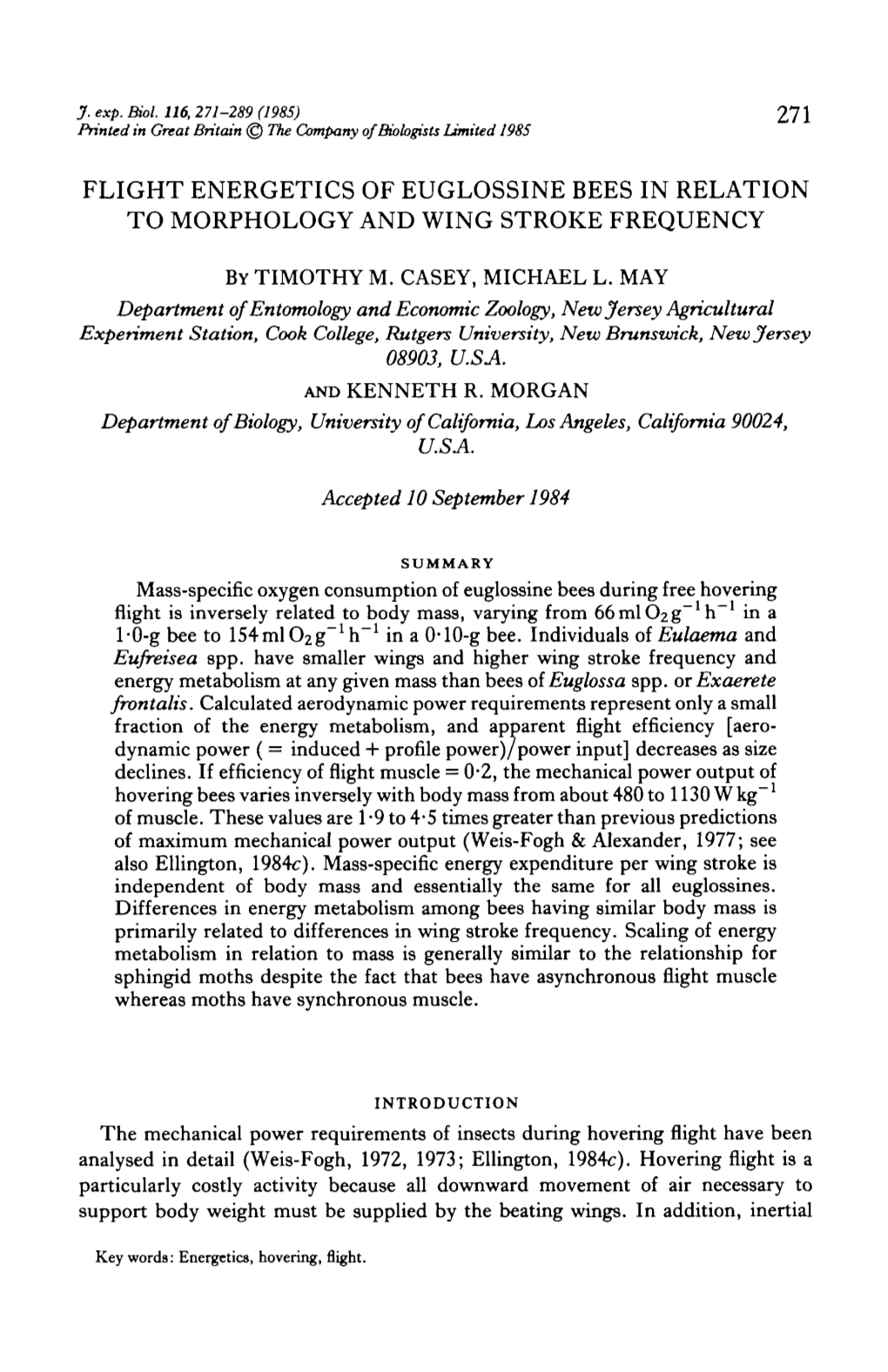 Flight Energetics of Euglossine Bees in Relation to Morphology and Wing Stroke Frequency