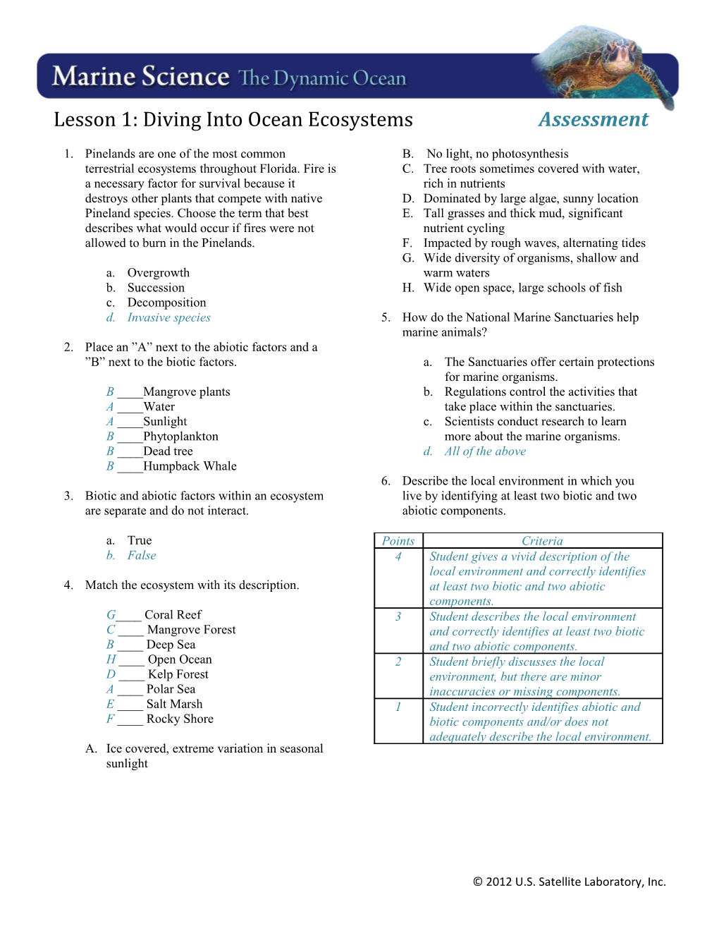 Diving Into Ecosystems