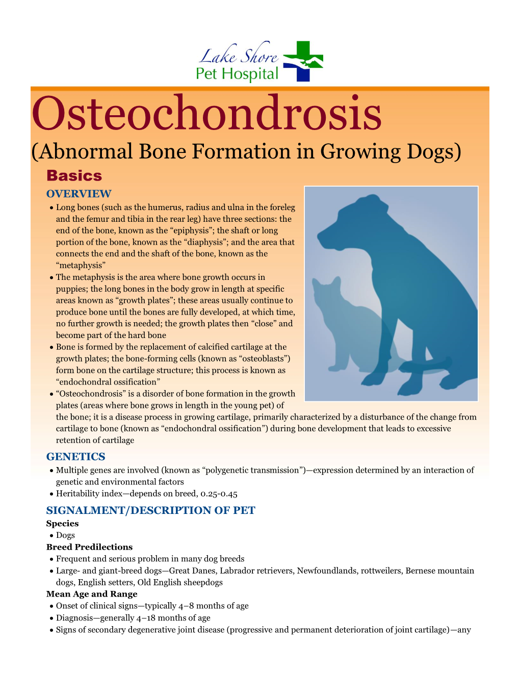 Osteochondrosis