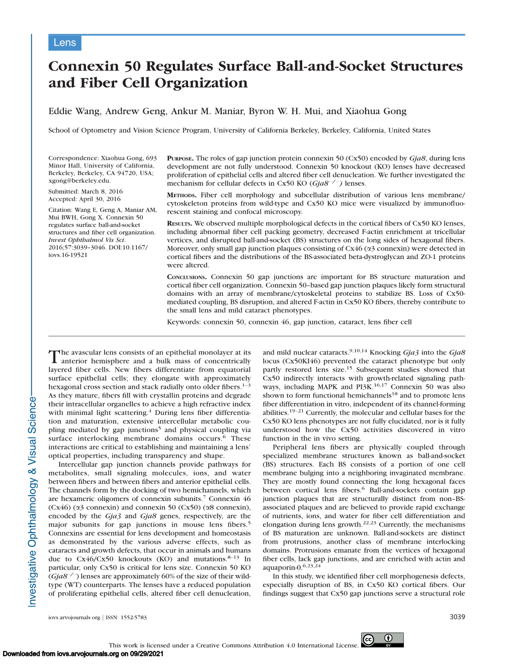 Connexin 50 Regulates Surface Ball-And-Socket Structures and Fiber Cell Organization