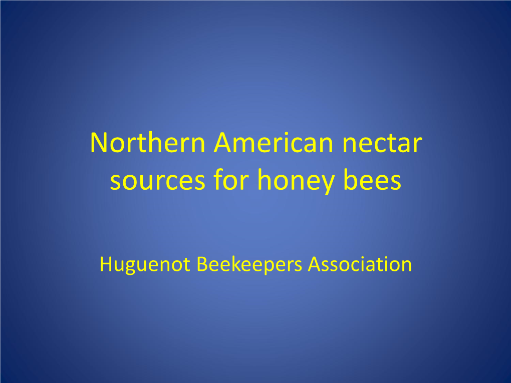 Northern American Nectar Sources for Honey Bees