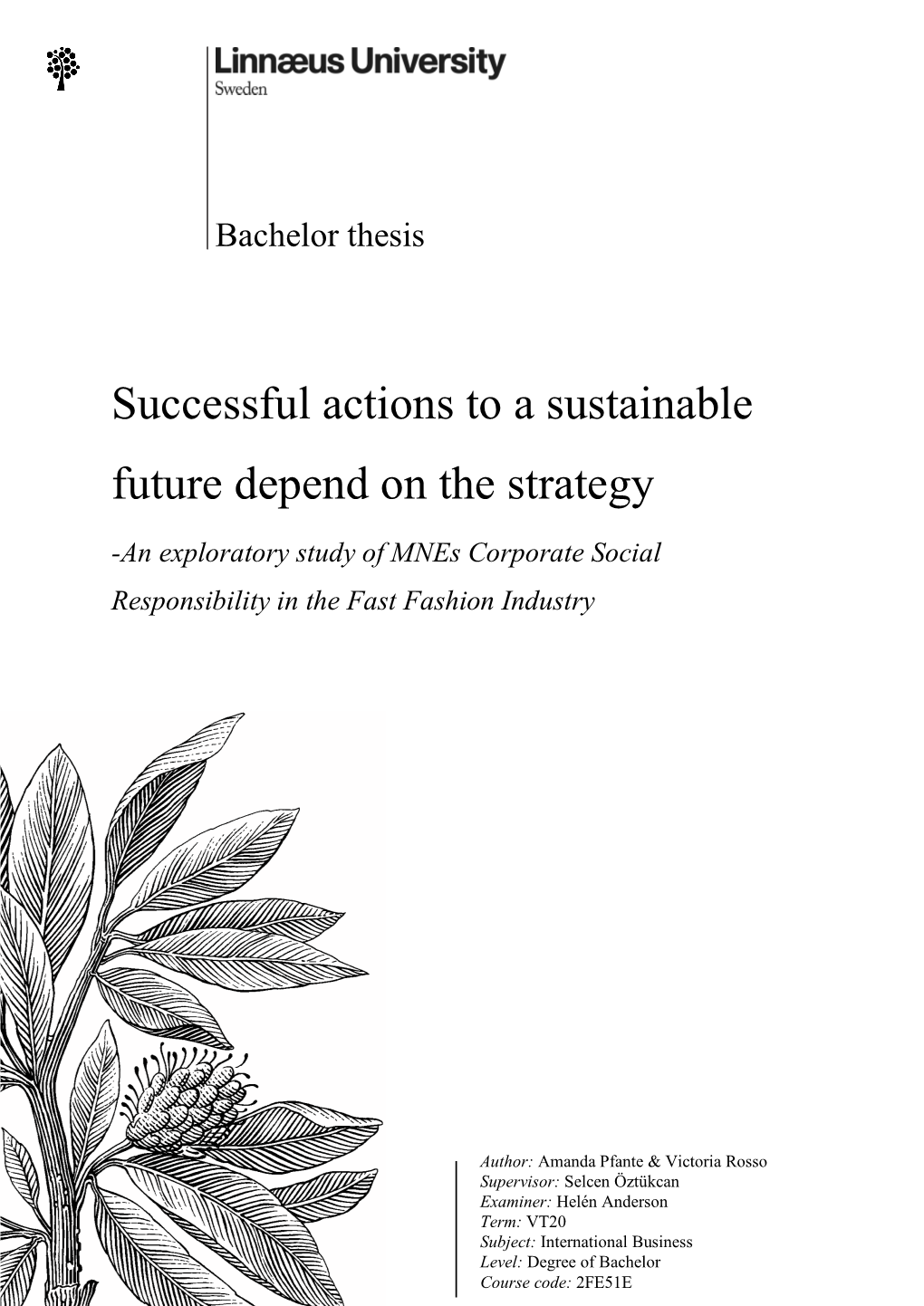 Successful Actions to a Sustainable Future Depend on the Strategy