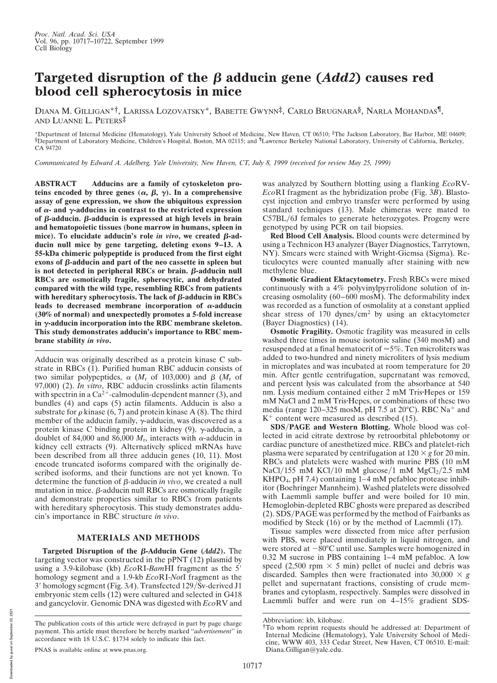 Targeted Disruption of the Adducin Gene ( Add2) Causes Red Blood Cell