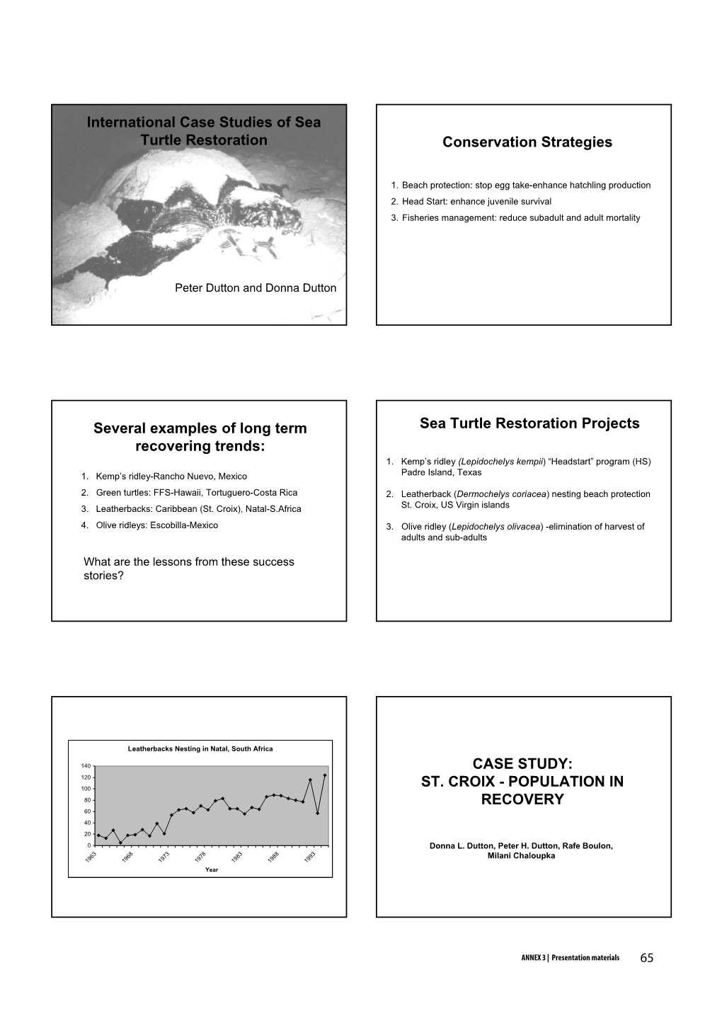 International Case Studies of Sea Turtle Restoration Conservation