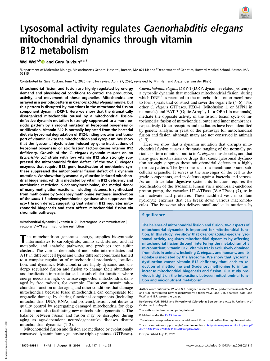 Lysosomal Activity Regulates Caenorhabditis Elegans Mitochondrial Dynamics Through Vitamin B12 Metabolism