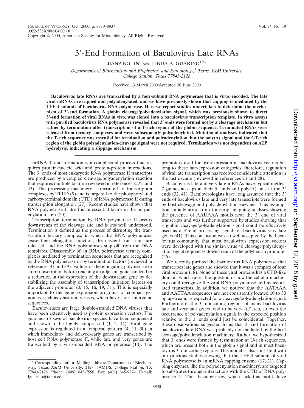 3-End Formation of Baculovirus Late Rnas