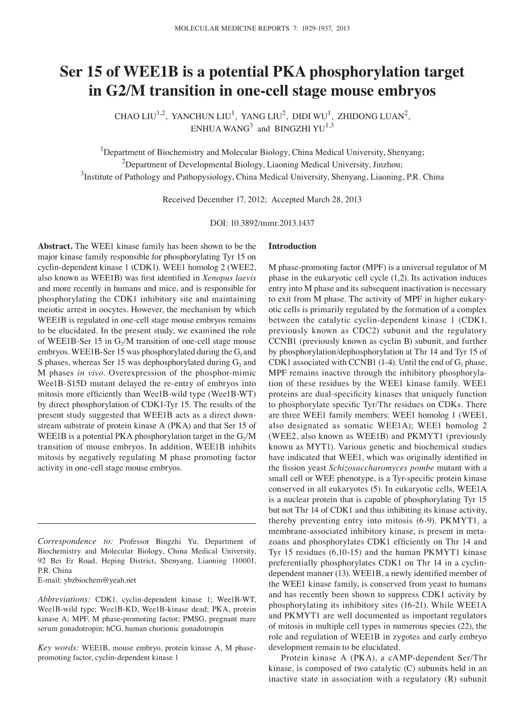 Ser 15 of WEE1B Is a Potential PKA Phosphorylation Target in G2/M Transition in One-Cell Stage Mouse Embryos