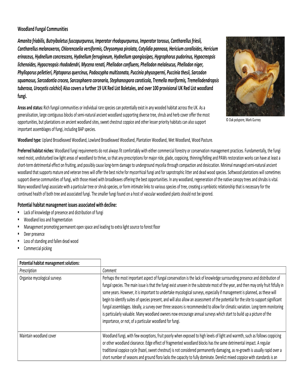 Woodland Fungal Communities