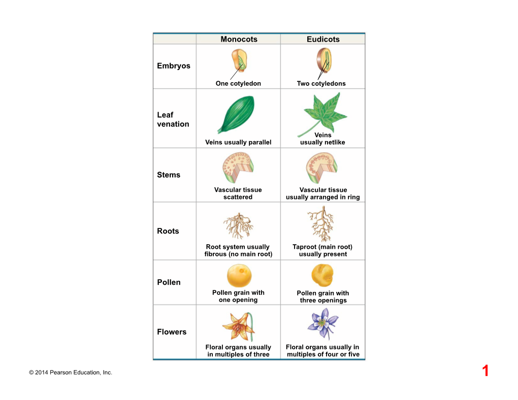 Eudicots Monocots Stems Embryos Roots Leaf Venation Pollen Flowers