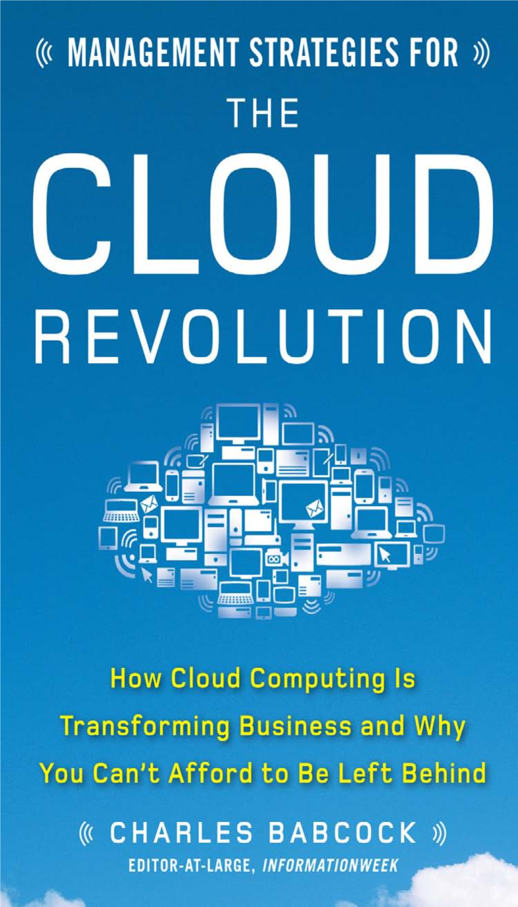 Management Strategies for the Cloud Revolution