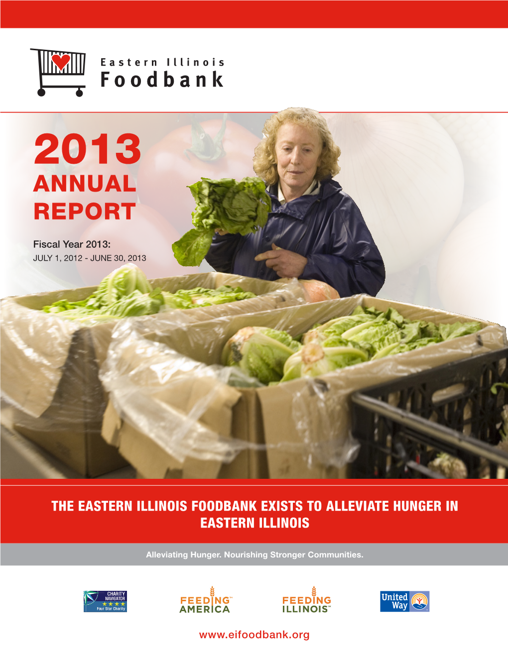 2013 Annual Report