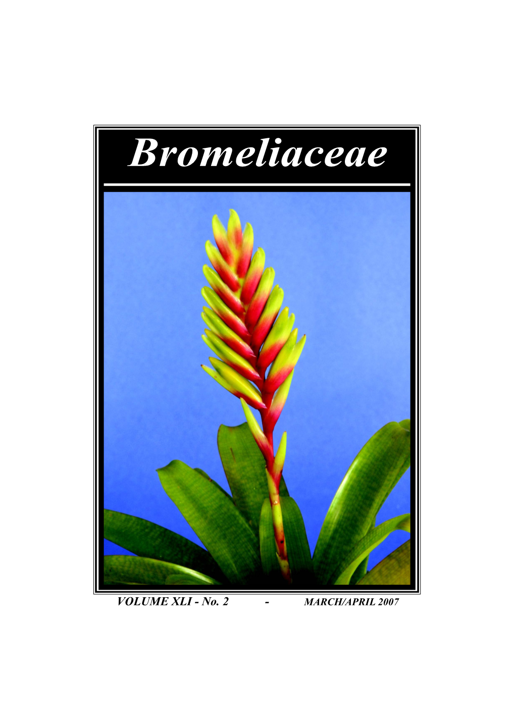 Bromeliaceae