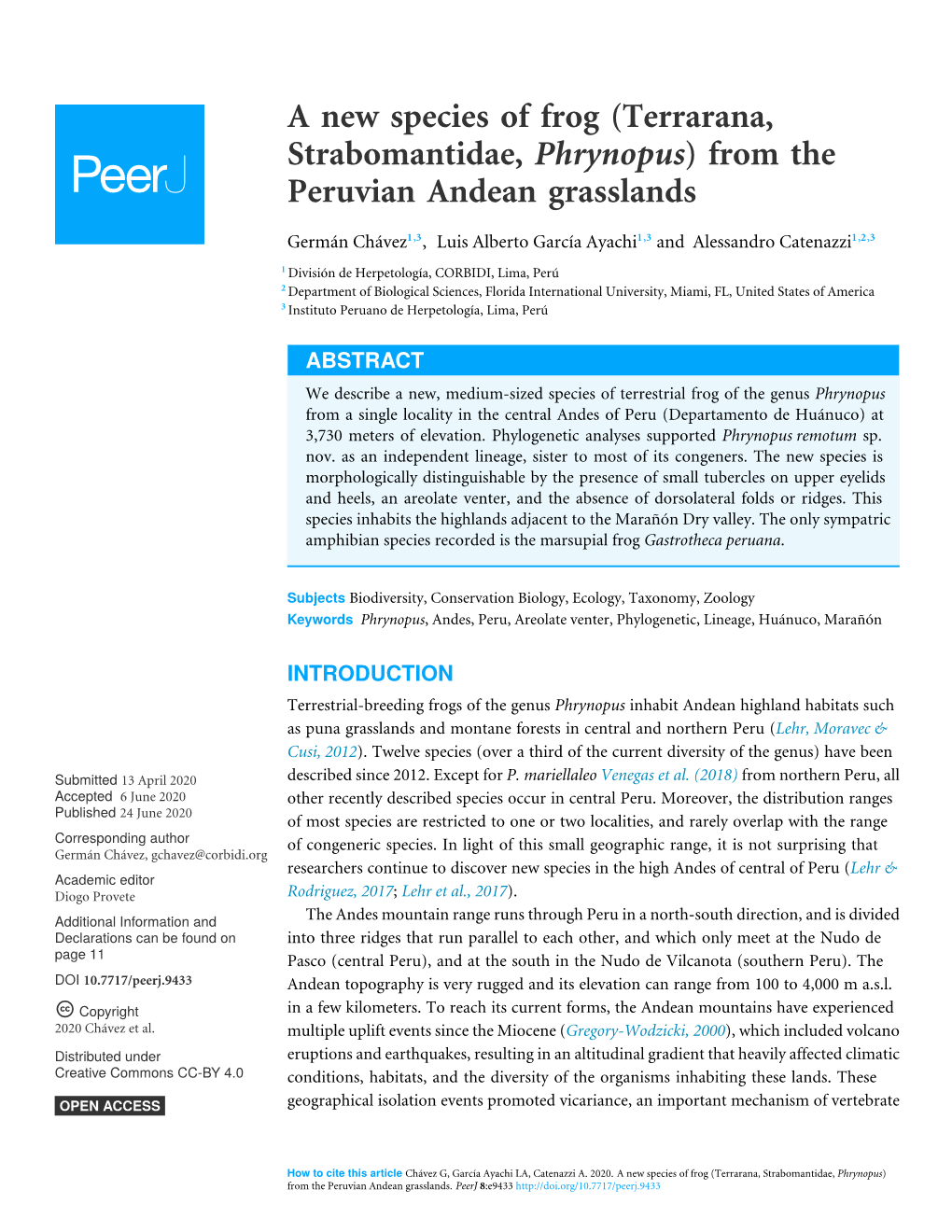 A New Species of Frog (Terrarana, Strabomantidae, Phrynopus) from the Peruvian Andean Grasslands