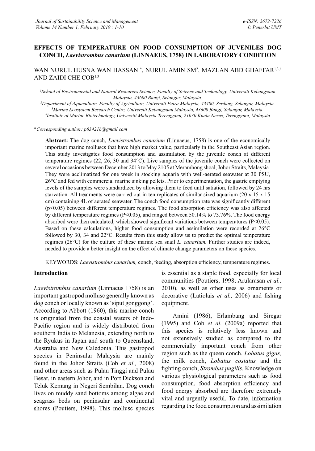 Introduction Laevistrombus Canarium (Linnaeus 1758)