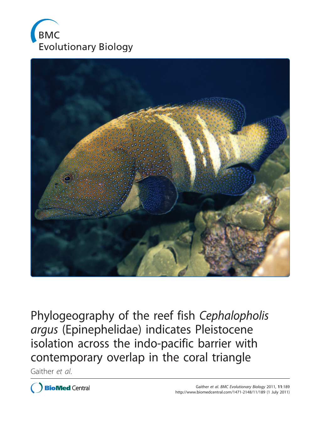 Phylogeography of the Reef Fish Cephalopholis Argus (Epinephelidae)