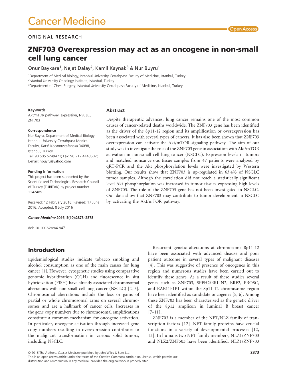 ZNF703 Overexpression May Act As an Oncogene In