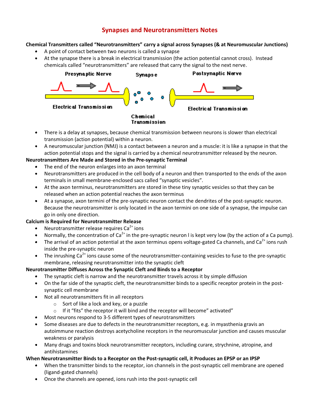 Neurotransmitter Notes