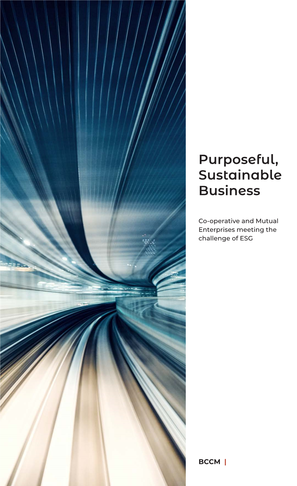 Purposeful, Sustainable Business