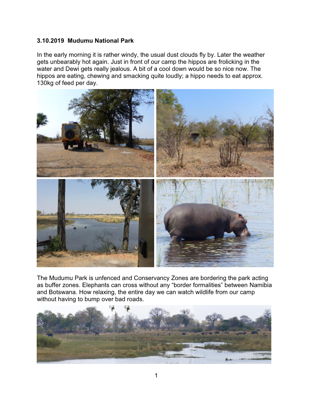 1 3.10.2019 Mudumu National Park in the Early Morning It Is Rather Windy