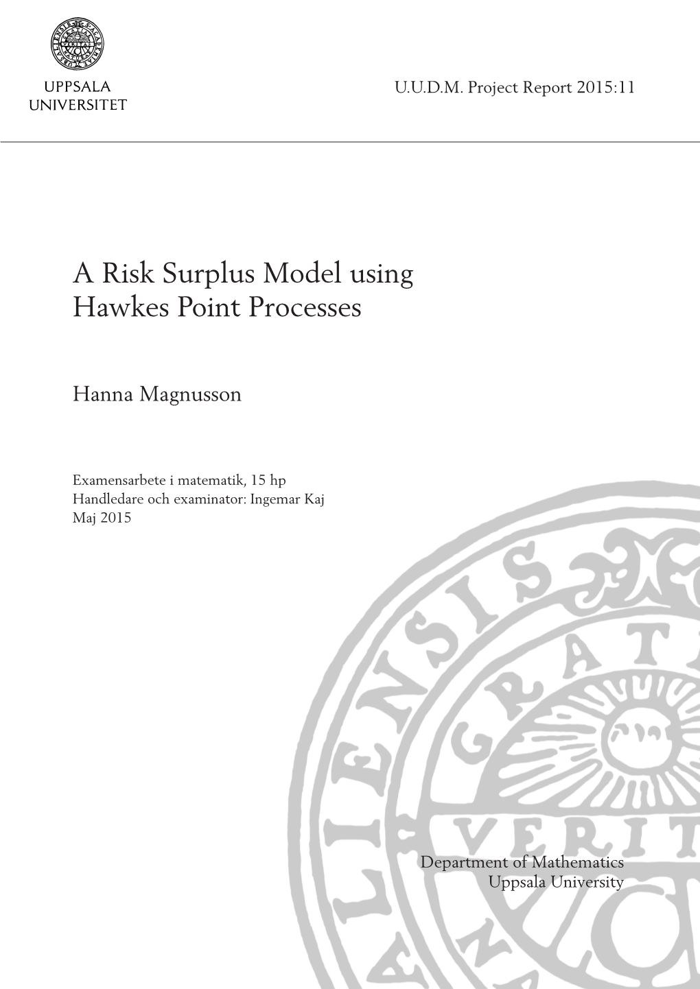 A Risk Surplus Model Using Hawkes Point Processes