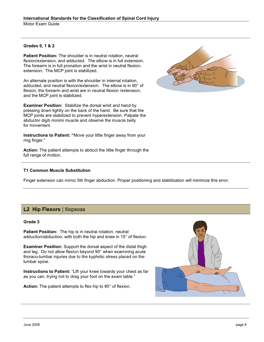 L2 Hip Flexors | Iliopsoas