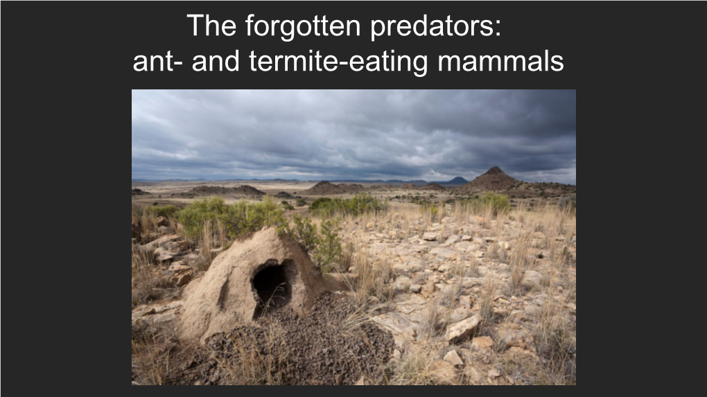 The Forgotten Predators: Ant- and Termite-Eating Mammals Acknowledgements