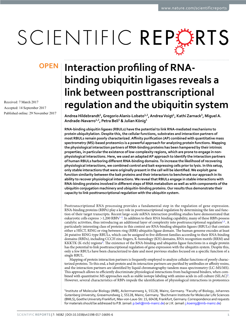 Interaction Profiling of RNA-Binding Ubiquitin Ligases Reveals A